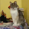 Отзыв от Галина Левина